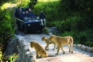 1/2 Day Private Tour Tala Game Reserve & Natal Lion Park