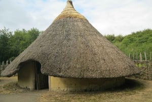 ダーバン発タラ動物保護区とフェズル サファリ パーク半日ツアー