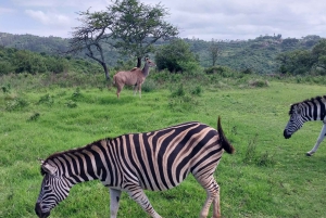 10 Day South Africa Tour Johannesburg to Cape Town