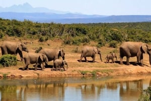 10 Day South Africa Tour Johannesburg to Cape Town