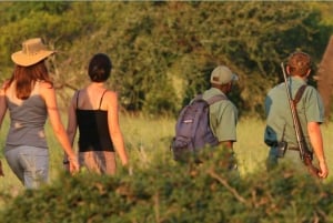 2 Day Hluhluwe Imfolozi & Isimangaliso Tour from Durban