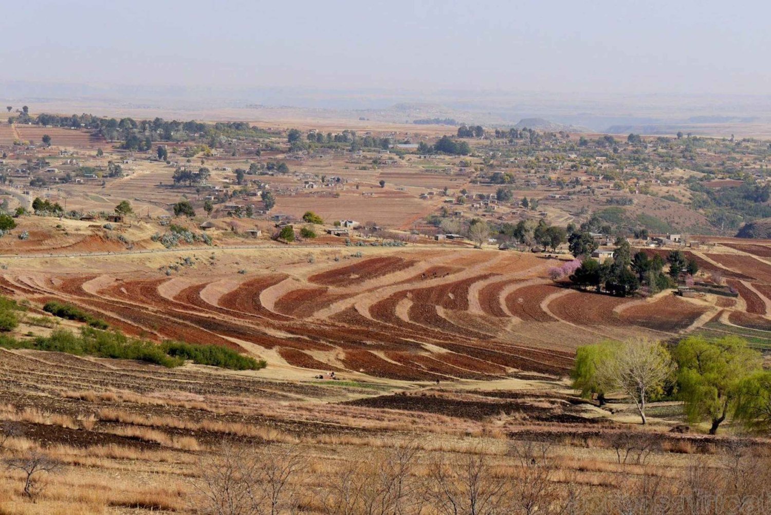 Addo-olifanten met Lesotho & Drankensburg-wandeling 7-daagse tour