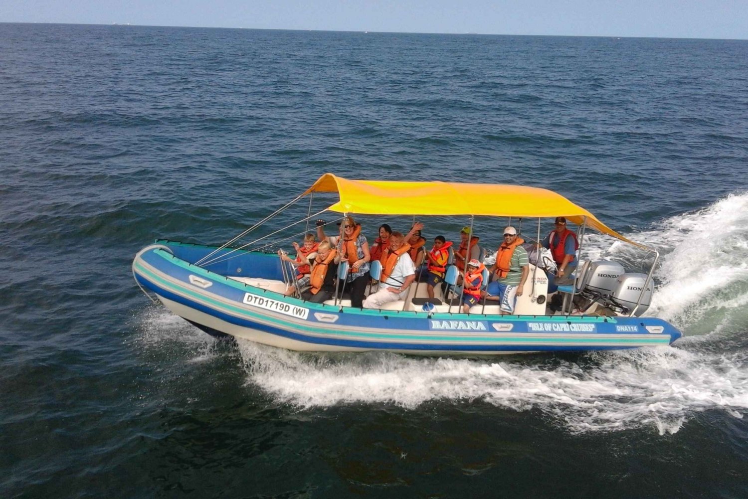 Durban: Boat-Based Whale and Dolphin Watching Experience