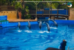 Entdecke Durban: Ein dreitägiger Ausflug von Eswatini