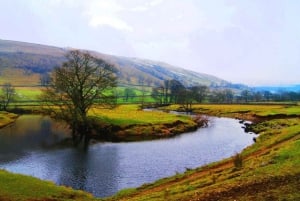 Drakensberg + site de la capture de Mandela visite d'une jounée au départ de Durban