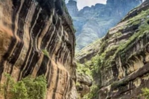 Drakensberg-fjellene og fotturer - heldagstur fra Durban