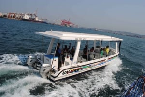 1-Hour Boat Cruise from Wilson's Wharf
