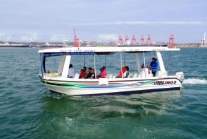 1-Hour Boat Cruise from Wilson's Wharf