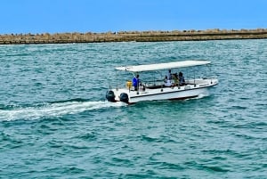 Durban: 1-Hour Boat Cruise from Wilson's Wharf