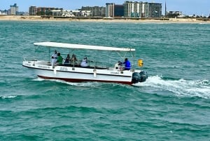 Durban: 1-Hour Boat Cruise from Wilson's Wharf