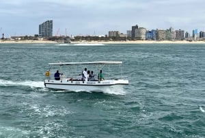 Durban: 1-Hour Boat Cruise from Wilson's Wharf