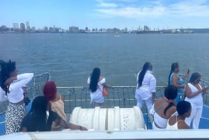 Durban: 1-Hour Boat Cruise from Wilson's Wharf