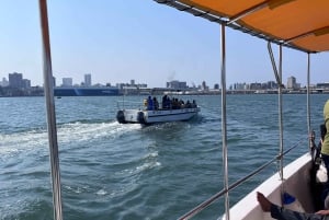 Durban: 1-Hour Boat Cruise from Wilson's Wharf