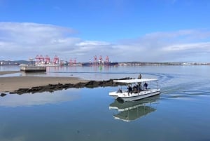 Durban: 1-Hour Boat Cruise from Wilson's Wharf