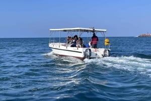 Durban: 1-Hour Boat Cruise from Wilson's Wharf