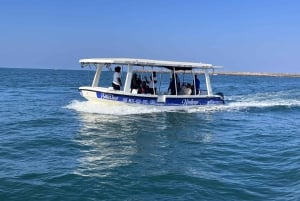Durban: 1-Hour Boat Cruise from Wilson's Wharf