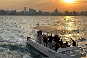 Durban: 1-Hour Boat Cruise from Wilson's Wharf