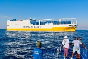 Durban: 1-Hour Boat Cruise from Wilson's Wharf