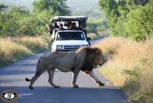 Durban:3 Day Hluhluwe-Imfolozi Park, St Lucia, iSimangaliso