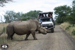 Durban:3 Day Hluhluwe-Imfolozi Park, St Lucia, iSimangaliso