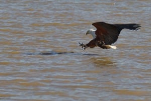 Durban:3 Day Hluhluwe-Imfolozi Park, St Lucia, iSimangaliso