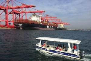 Durban: 30-Minute Harbor Boat Cruise