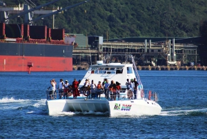 Durban: 30-Minute Harbor Boat Cruise