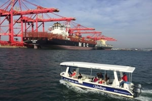 Durban : croisière de 30 minutes en bateau dans le port