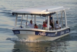 30-Minute Harbor Boat Cruise