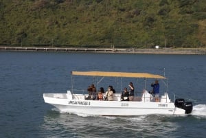 Durban: 30-Minute Harbor Boat Cruise