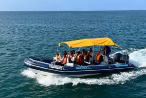 Durban: 30-Minute Harbor Boat Cruise