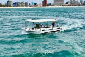 Durban: 30-Minute Harbor Boat Cruise