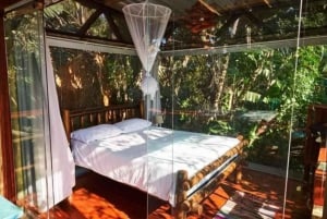 Durban: 5-Day Ocean and Yoga Bliss Retreat