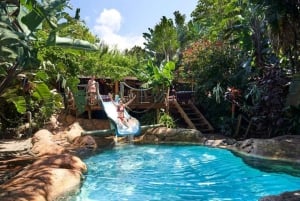 Durban: 5-Day Ocean and Yoga Bliss Retreat