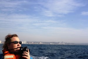 Durban: Boat-Based Whale Watching Experience