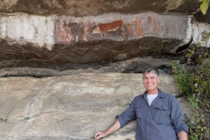 Durban: Drakensberg Rock Art & Mandela Capture Site Tour