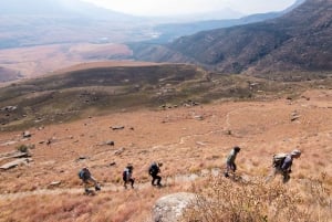 Durban: Drakensberg Rock Art & Mandela Capture Site Tour