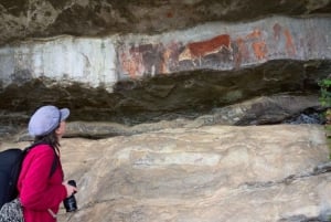 Durban: Drakensberg Rock Art & Mandela Capture Site Tour