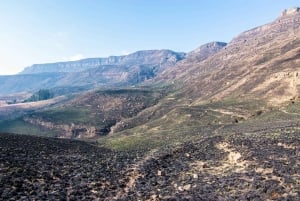 Durban: Drakensberg Rock Art & Mandela Capture Site Tour