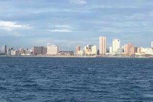 Durban: Durban: Whale and Dolphin Watching Boat Tour.
