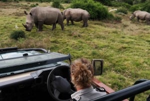 Durban: Full-Day Big 5 Safari @ Manyoni Private Game Reserve