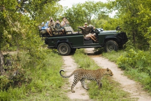 Durban: Full-Day Big 5 Safari @ Manyoni Private Game Reserve