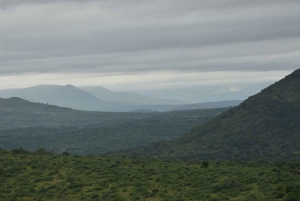 Durban: Heldagstur till Hluhluwe-iMfolozi Game Reserve med lunch