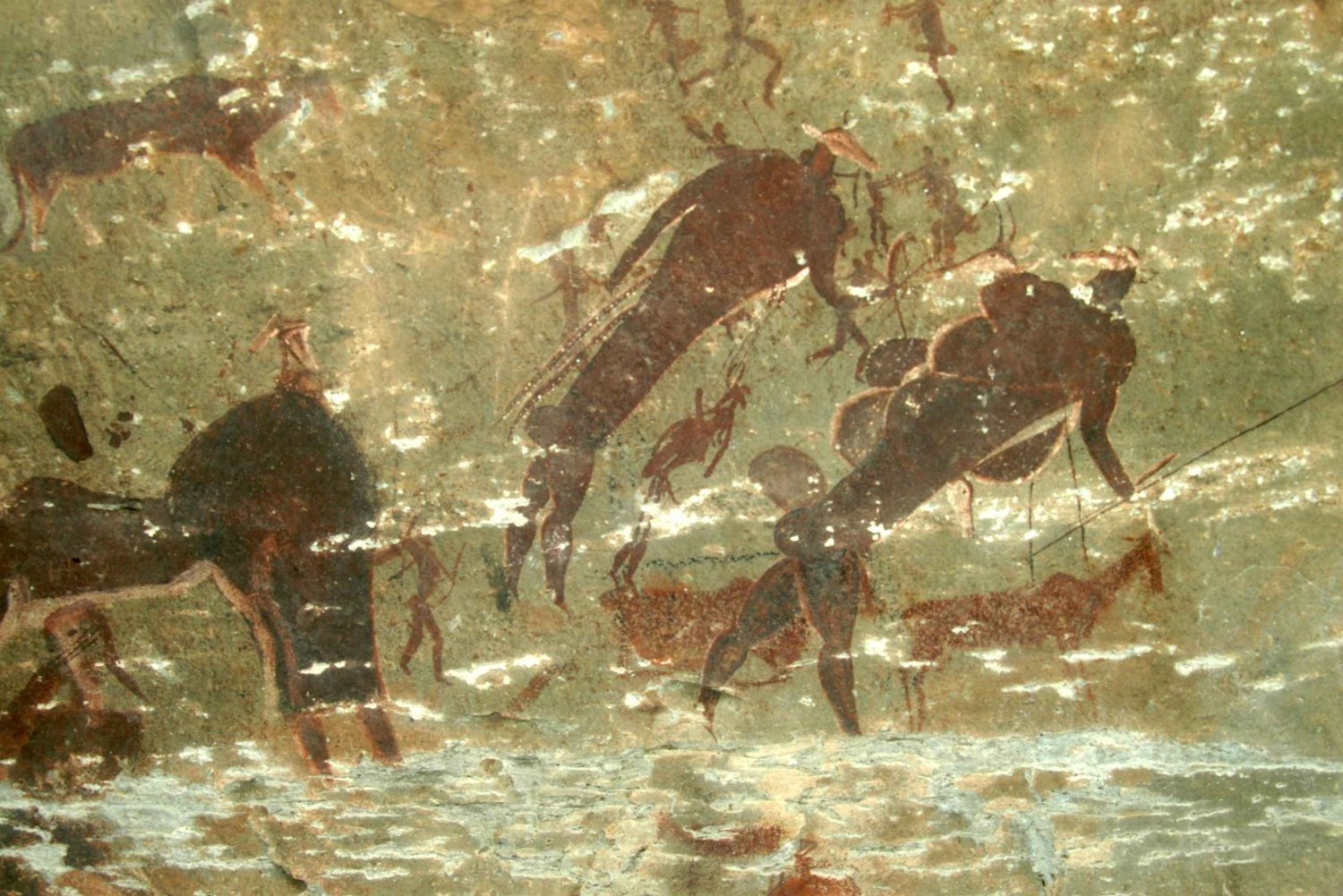 Durban : visite des peintures rupestres de Giants Cave et du site de la capture de Mandela