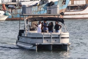 Durban: Hamnkryssning med pontonbåt