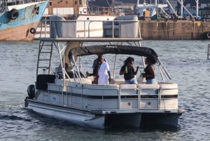 Durban: Hamnkryssning med pontonbåt