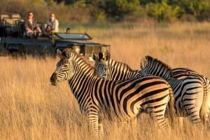 Durban: tour di mezza giornata del parco safari Phezulu e della città di Durban