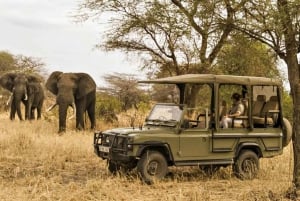 Durban: Natal Lion Park and Phezulu Safari Park Tour