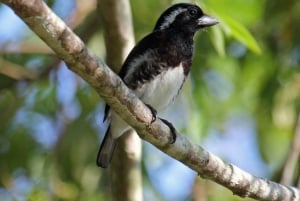Durban: St Lucia Birdwatching Tour