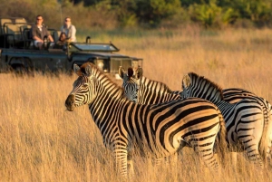 Durban: Tala Game Reserve and Natal Lion Park Half-Day Tour